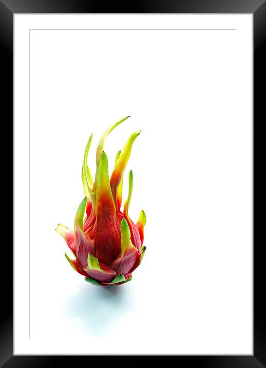 Dragon fruit Framed Mounted Print by Thanet Photos