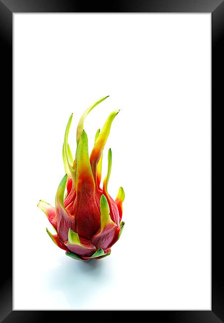 Dragon fruit Framed Print by Thanet Photos