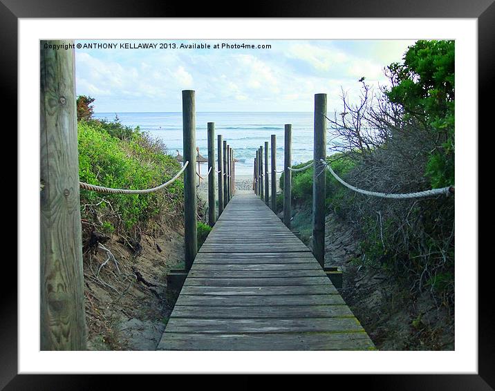 TO THE BEACH Framed Mounted Print by Anthony Kellaway