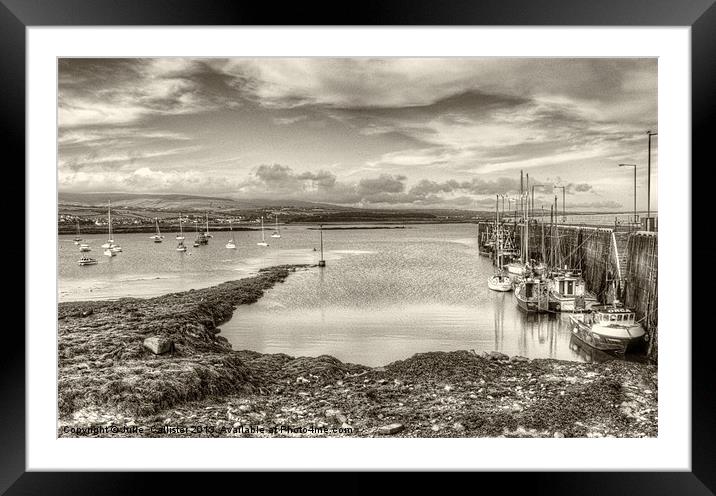 Port St Mary Harbour Framed Mounted Print by Julie  Chambers