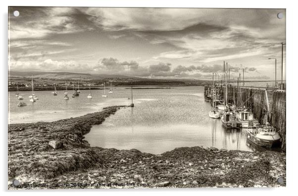 Port St Mary Harbour Acrylic by Julie  Chambers