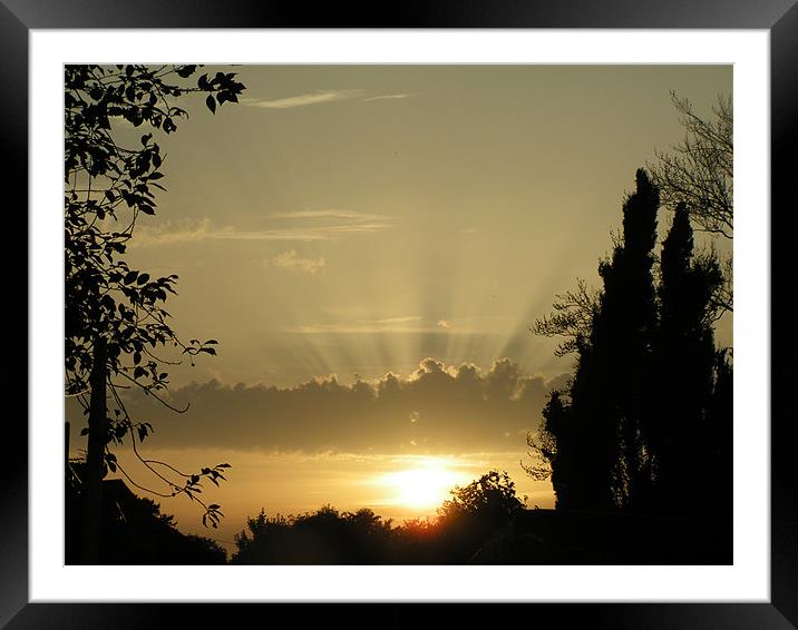 Sunset at home Framed Mounted Print by Alan Pickersgill