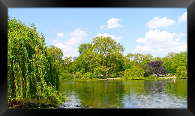Pond Collection 12 Framed Print by Emma Ward