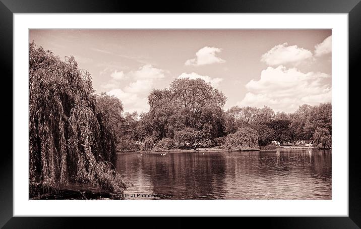 Pond Collection 14 Framed Mounted Print by Emma Ward