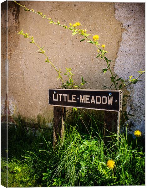 Little Meadow Canvas Print by Mark Llewellyn