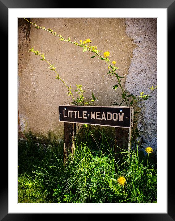 Little Meadow Framed Mounted Print by Mark Llewellyn