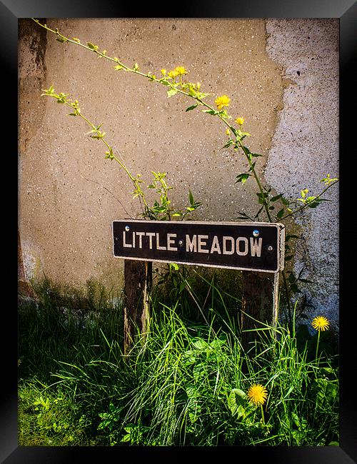 Little Meadow Framed Print by Mark Llewellyn