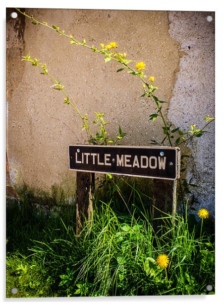Little Meadow Acrylic by Mark Llewellyn