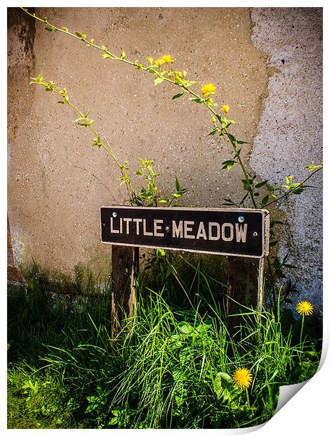 Little Meadow Print by Mark Llewellyn