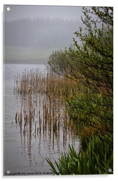 Mist on the Lake Acrylic by Jim Jones