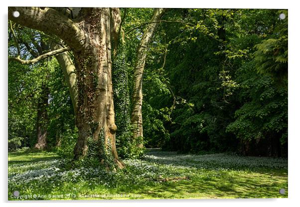 Ramsons Around an Ivy Covered Tree Acrylic by Ann Garrett