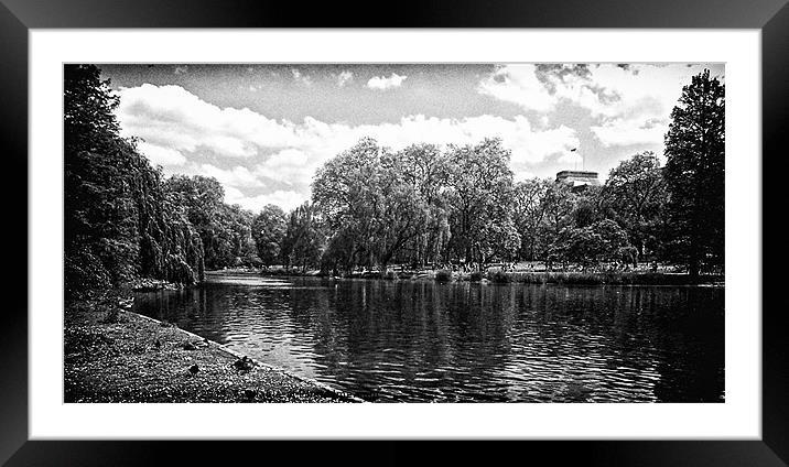 Pond Collection 15 Framed Mounted Print by Emma Ward