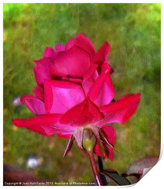 Roses are Red Print by Judy Hall-Folde