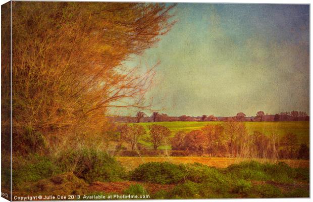 Norfolk Countryside Canvas Print by Julie Coe