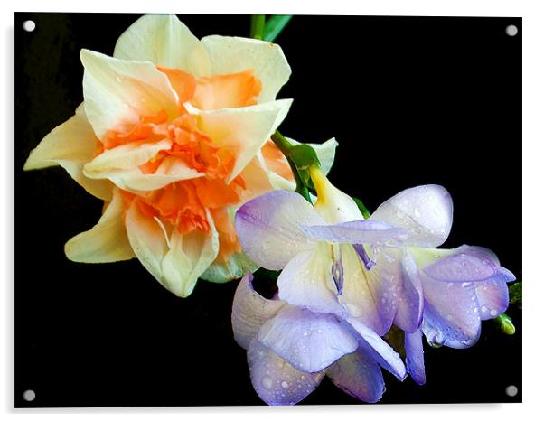 1566-multicolor flowers Acrylic by elvira ladocki