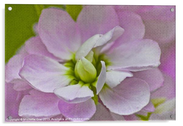 Scented Stock Acrylic by Michelle Orai