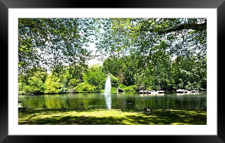 Pond Collection 21 Framed Mounted Print by Emma Ward
