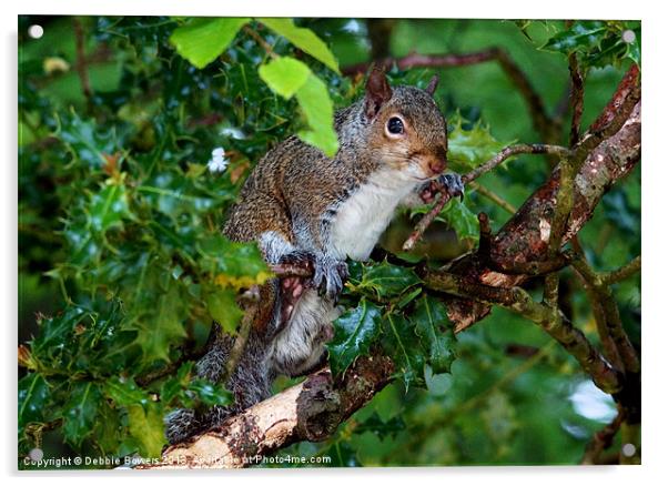 Squirrel Hiding Acrylic by Lady Debra Bowers L.R.P.S