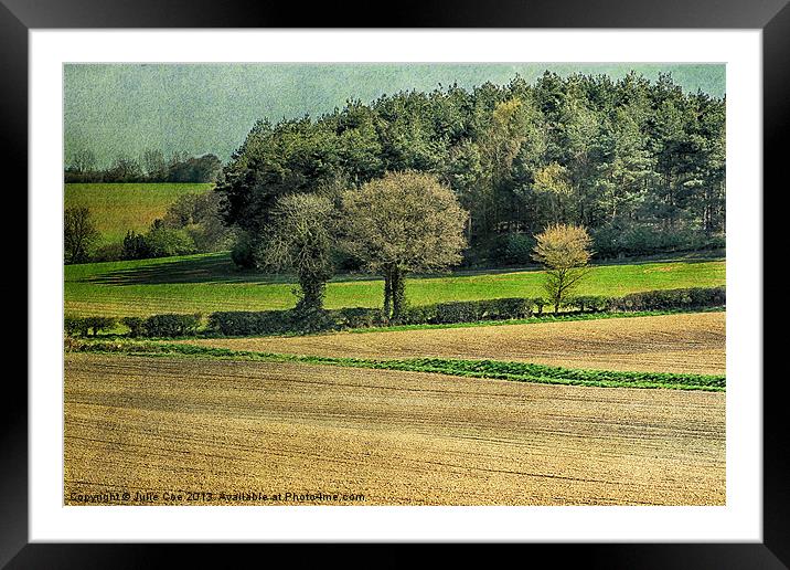 Norfolk Countryside 2 Framed Mounted Print by Julie Coe
