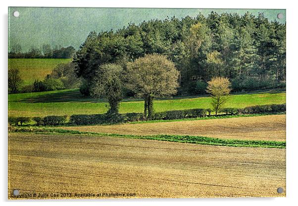 Norfolk Countryside 2 Acrylic by Julie Coe