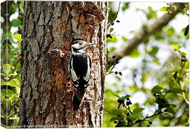 Great Spotted Woodpecker Canvas Print by Lady Debra Bowers L.R.P.S