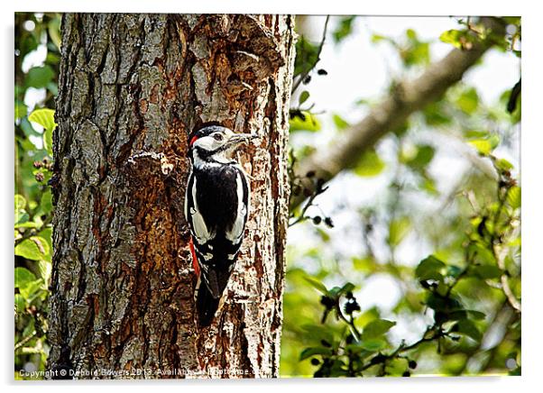 Great Spotted Woodpecker Acrylic by Lady Debra Bowers L.R.P.S