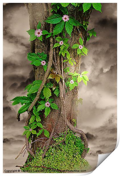 The Spring Tree Print by Christine Lake