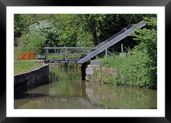 Bridge 233 Oxford Canal Framed Mounted Print by Tony Murtagh