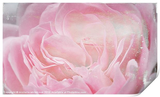 Vintage Rose Print by michelle whitebrook