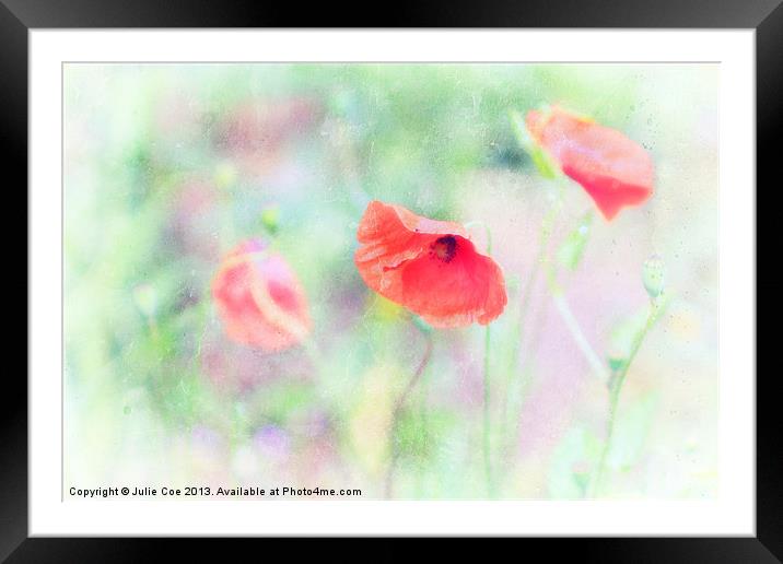 Poppy 12 Framed Mounted Print by Julie Coe