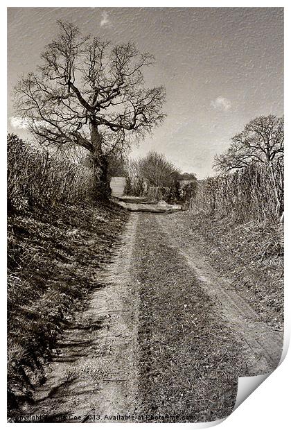 Turkey Lane, Edgefield Print by Julie Coe