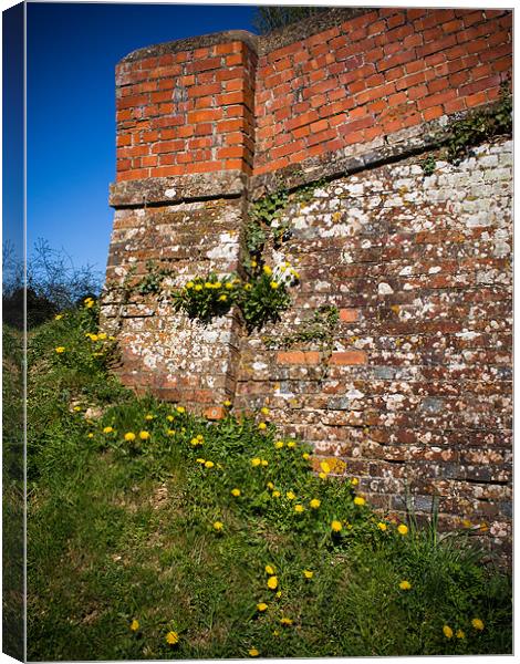 Canal Bridge with Dandelions, Kintbury, Berkshire, Canvas Print by Mark Llewellyn