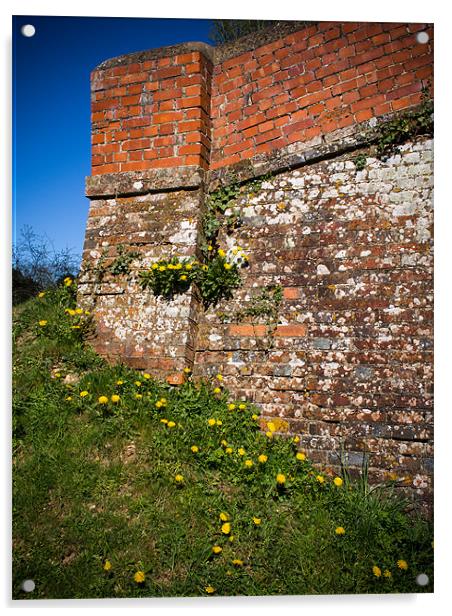 Canal Bridge with Dandelions, Kintbury, Berkshire, Acrylic by Mark Llewellyn