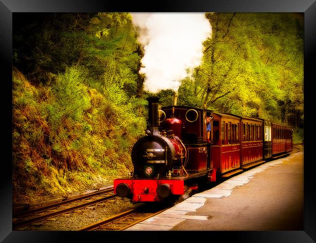 Talyllyn Railway Dolgoch, Wales, UK Framed Print by Mark Llewellyn