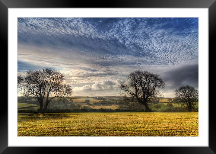 Pembrokeshire Countryside Framed Mounted Print by Simon West