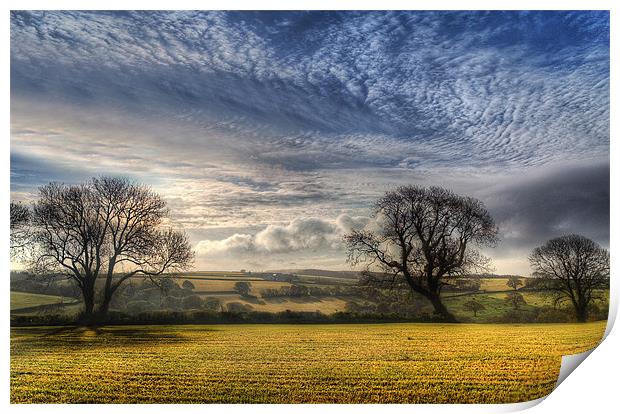 Pembrokeshire Countryside Print by Simon West