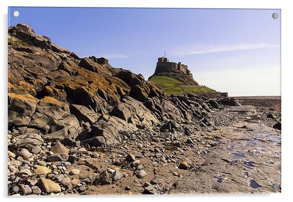 Lindisfarne Castle Acrylic by Northeast Images
