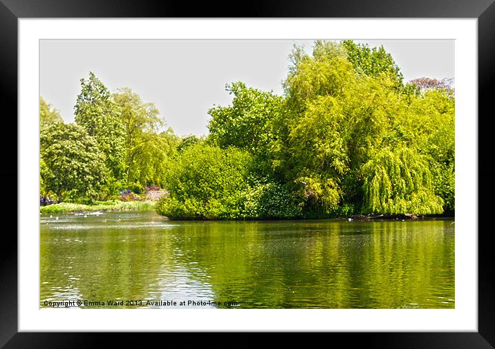 Pond Collection 24 Framed Mounted Print by Emma Ward