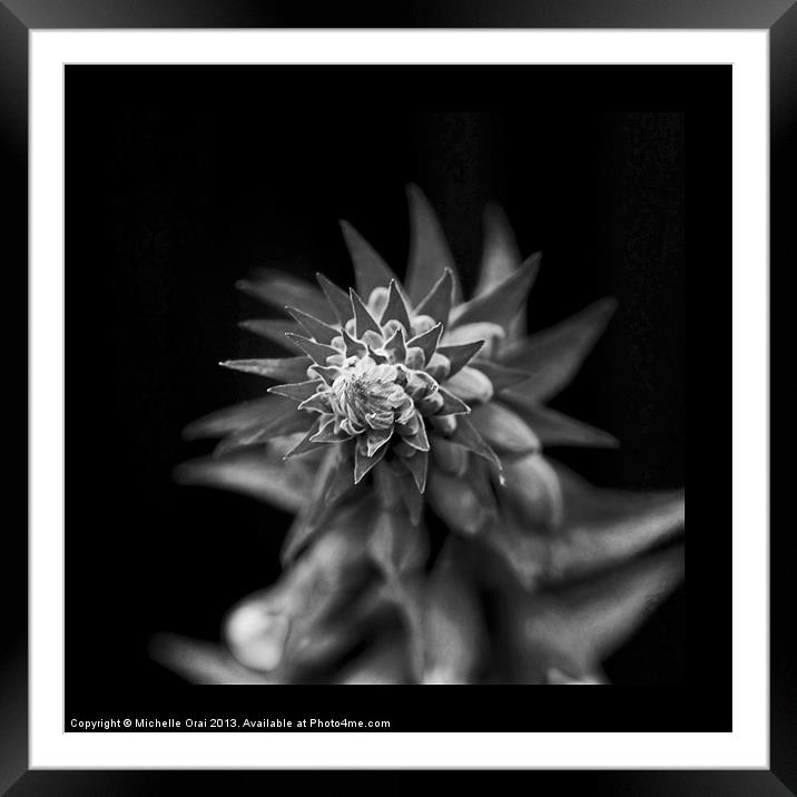 Black and White Foxglove Framed Mounted Print by Michelle Orai