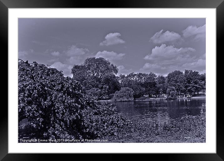 Pond Collection 29 Framed Mounted Print by Emma Ward