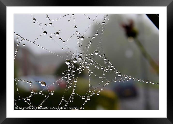 Dewy Spiderweb Framed Mounted Print by Mark  F Banks