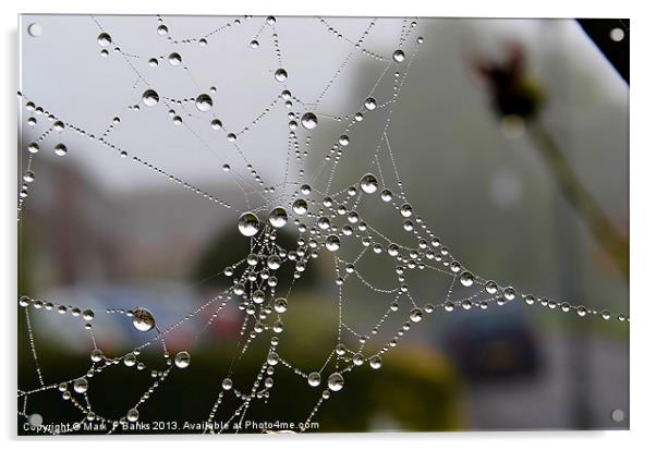 Dewy Spiderweb Acrylic by Mark  F Banks