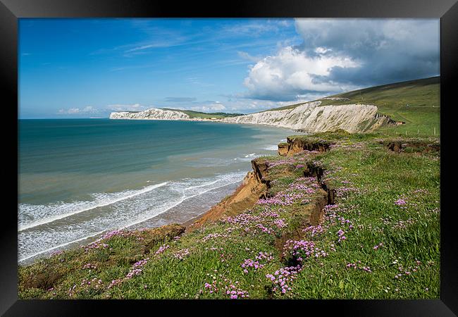 Compton Bay Cliff Framed Print by Barry Maytum