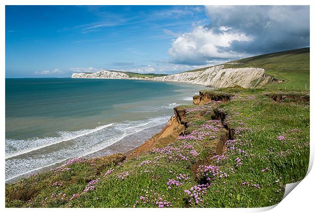 Compton Bay Cliff Print by Barry Maytum