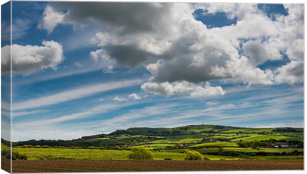 St Catherines Down Canvas Print by Barry Maytum