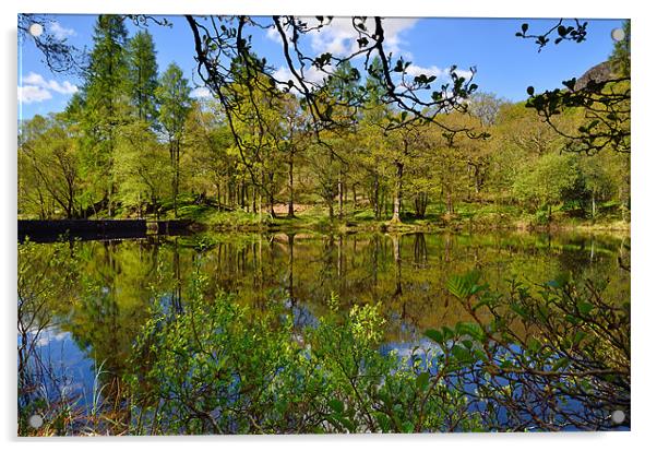 Yew Tree Tarn Acrylic by Gary Kenyon