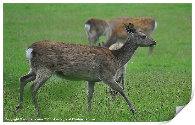 Running deer Print by michelle rook
