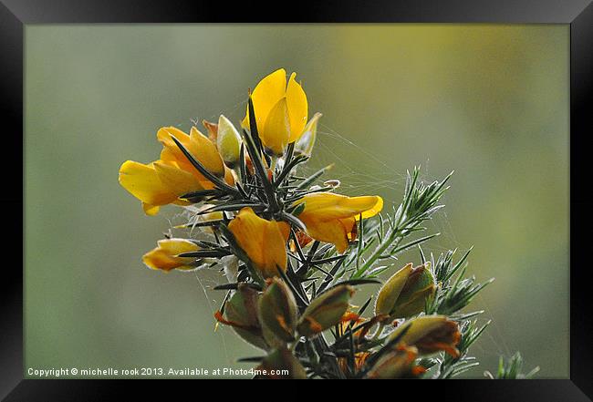 wild flowers Framed Print by michelle rook