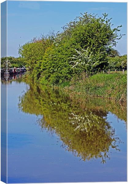 Reflections of Trees Canvas Print by Tony Murtagh