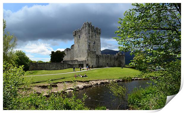 Ross Castle Print by barbara walsh
